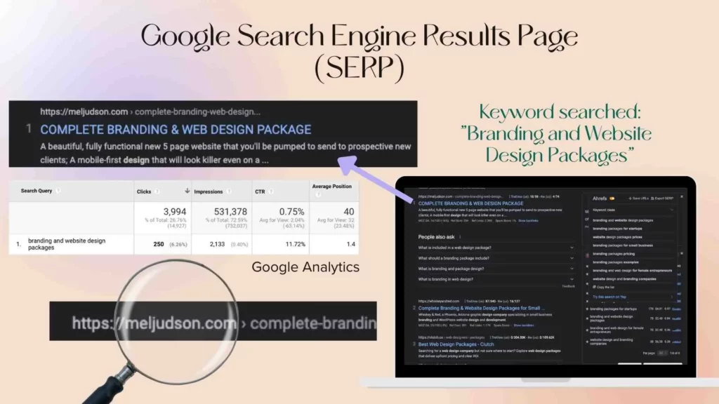 Google search engine result page (serp) infographic