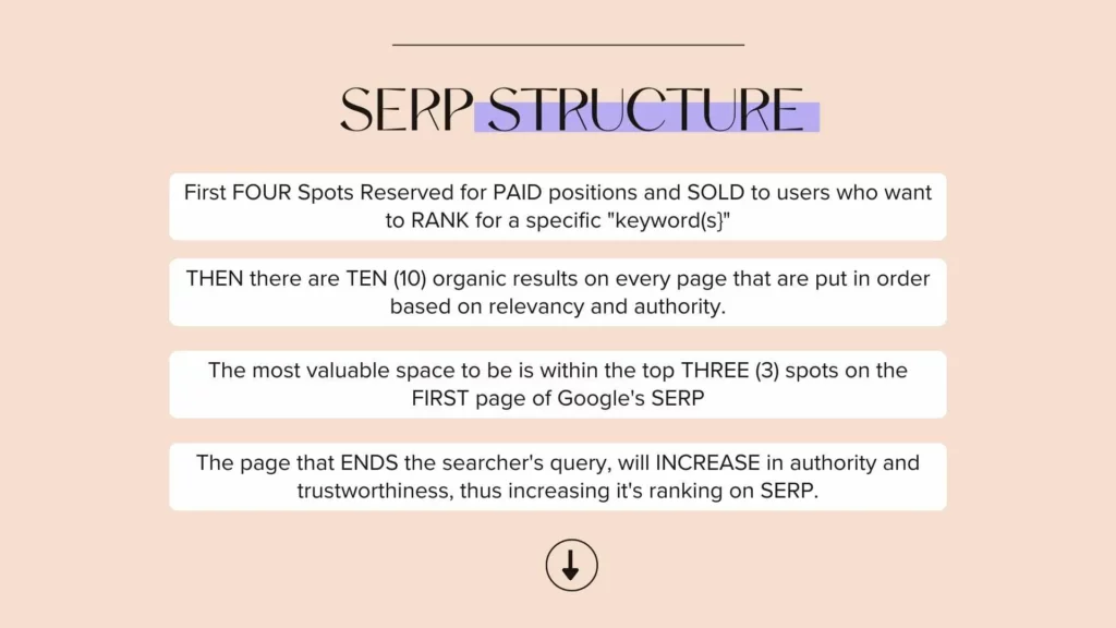 Serp Structure Infographic X