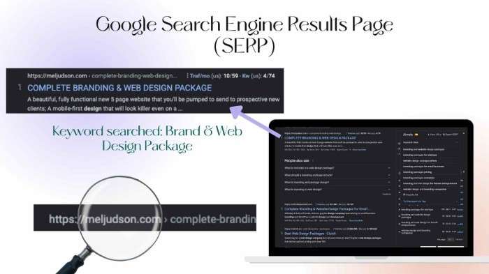 google SERP screenshots of the keyword brand and web design package