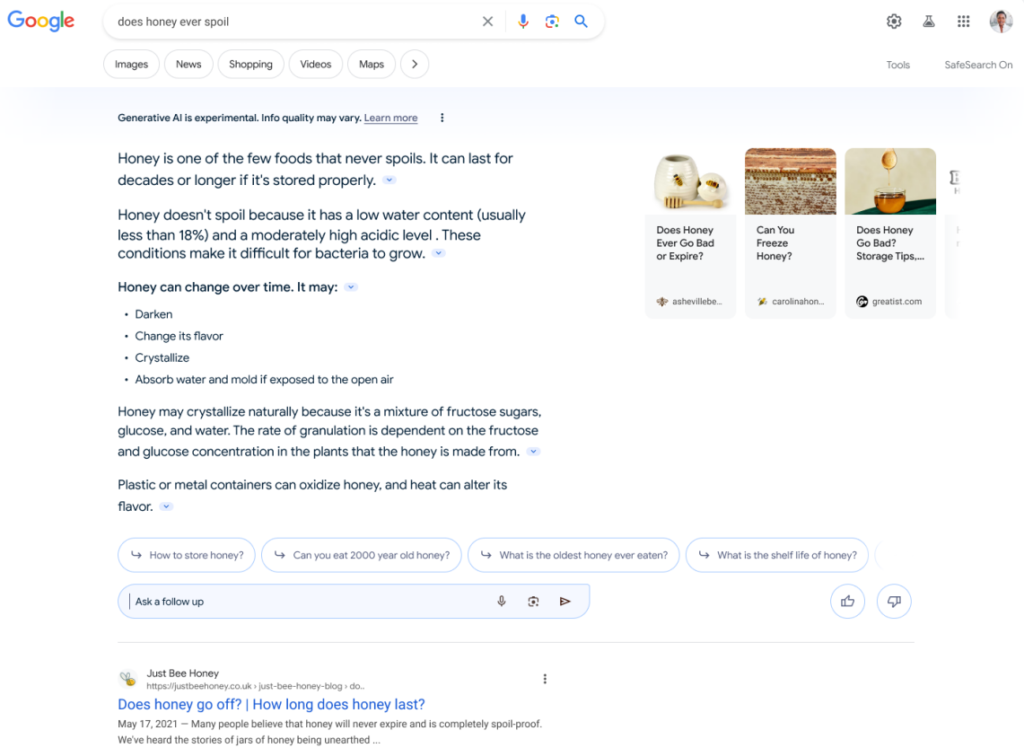 google seo results
